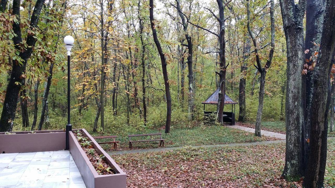 Фото Отели Boutique Hotel Lyulyak Старозагорски-Бани 9